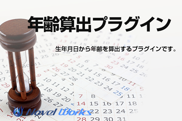 年齢算出プラグイン